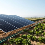 A agro-fotônica se beneficiar dos painéis solares que transformar luz em energia. - Foto: Reprodução/Agrishow Digital