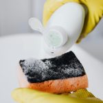 A Pseudomonas aeruginosa tem formato de bacilo e é a mais patógena do grupo das Pseudomonas, chamando a atenção da vigilância sanitária ao ser identificada em detergentes. Foto: Pexels