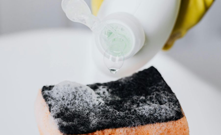 A Pseudomonas aeruginosa tem formato de bacilo e é a mais patógena do grupo das Pseudomonas, chamando a atenção da vigilância sanitária ao ser identificada em detergentes. Foto: Pexels
